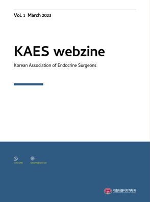 KAES Webzine_Vol 1. March 2023