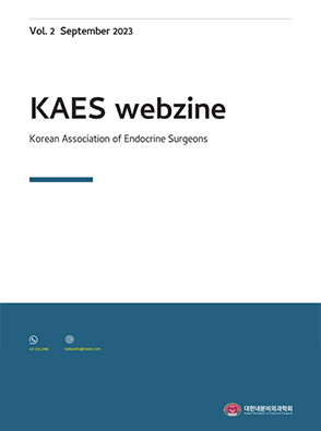 KAES Webzine_Vol 2. September 2023