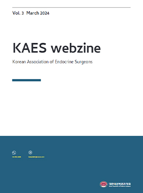 KAES Webzine_Vol 3. March 2024